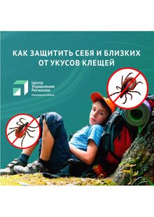 Анимация «Защита от&nbsp;клещей»