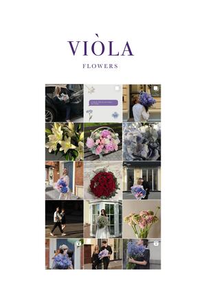 Цветочный-пространство Viola flowers