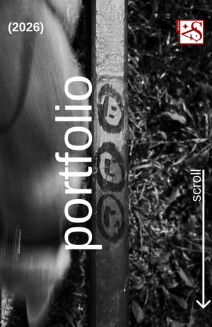 Портфолио Колобова