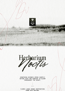 Herbarium Noctis