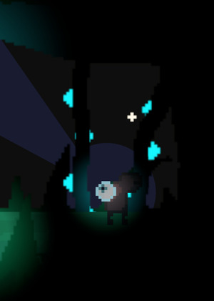 Look in the forest