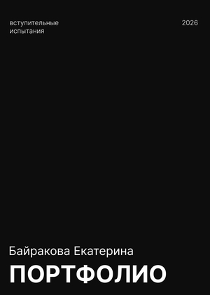 Портфолио Байракова Екатерина. Вступительные испытания. Магистратура
