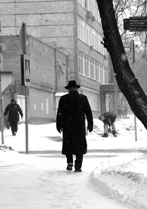 Натюрморт. Портрет. Город.