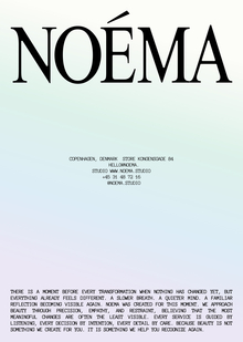 NOEMA | АЙДЕНТИКА ДЛЯ САЛОНА КРАСОТЫ