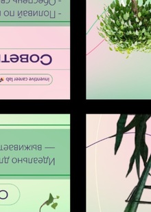 Портфолио смм диз