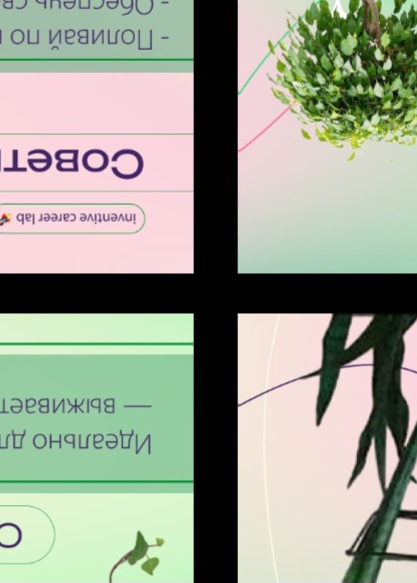 Портфолио смм диз