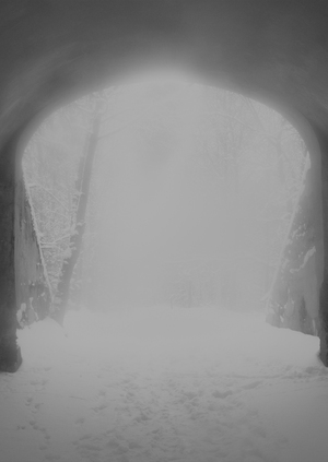 **'' shadow light' '*"* "*