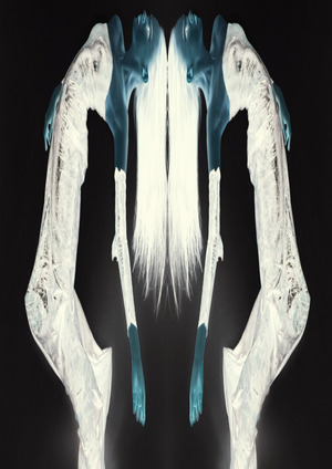 MUTANT 1.1