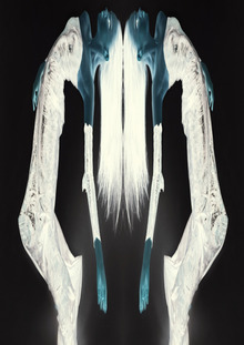 MUTANT 1.1