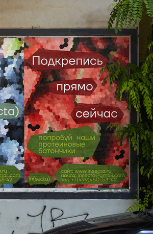 in(secta). Бренд протеиновых батончиков