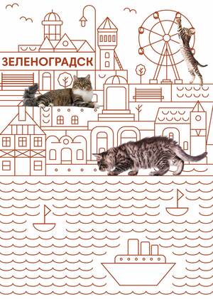 Айдентика города Зеленоградск