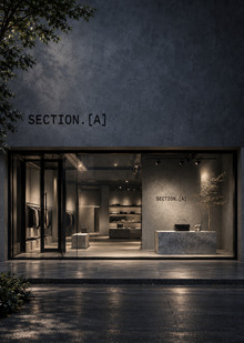 SECTION.A SECTION.A