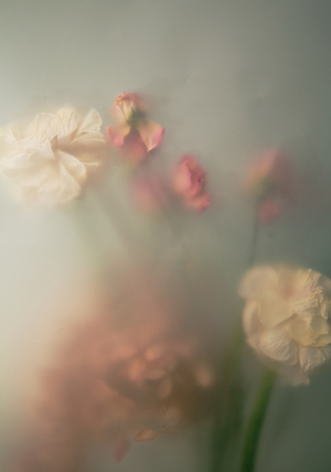 "Searchs of Time" feature photo series