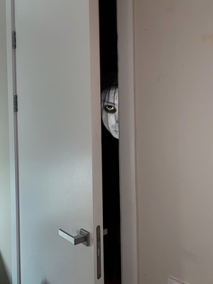 Не смотри в щель