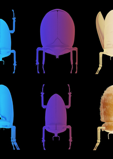BUGS