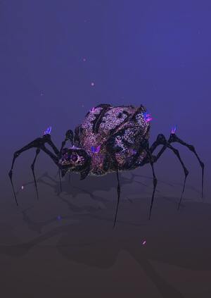 Spider