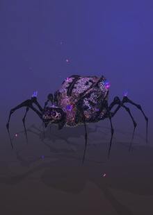 Spider Spider