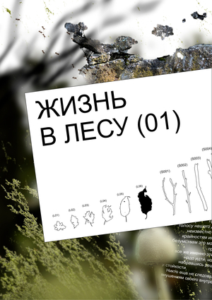 Жизнь в лесу