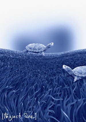 [terrapin/choir]