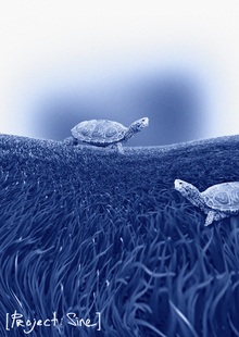 [terrapin/choir]
