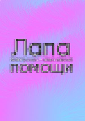 Центр реабилитации плюшевых зверей «‎Лапа помощи»‎