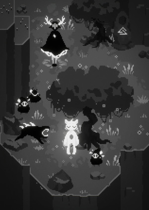 In the woods somewhere