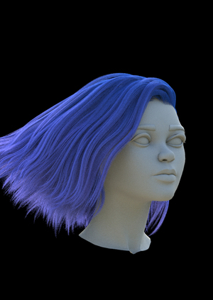 CG Grooming