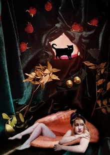 жилищные условия