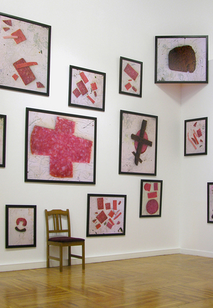 Kitchen Suprematism, 2005 - 2006