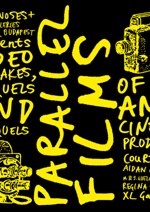 Project "Remeikis, prickels and sequels in Russian video art", 2010
