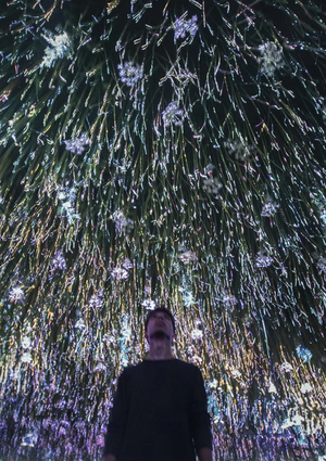 Психофизическое воздействие света на зрителя