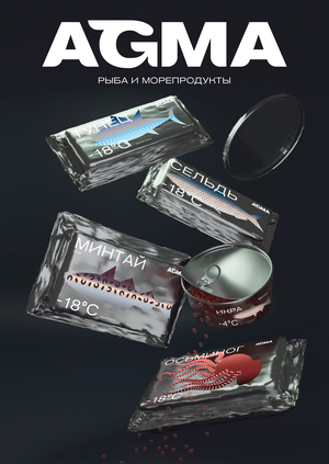 Фирменный стиль для компании AGMA Fish