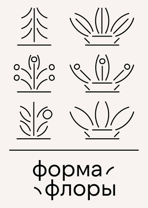 Брендинг для Формы флоры