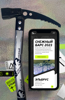 Айдентика и медиа для платформы альпинистов «Снежный Барс» Айдентика и медиа для платформы альпинистов «Снежный Барс»