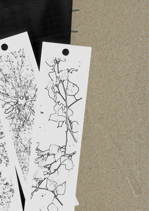 Издательский проект ИНАКО