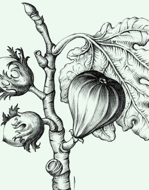 Fantastic fruit and vegetables