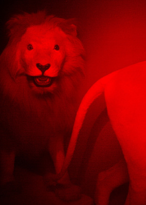 No blood.