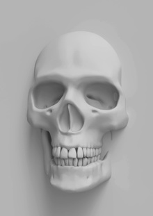 Анатомическая скульптура черепа. Анимационная скульптура персонажа.