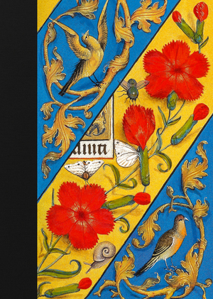 A hundred amazing manuscripts.