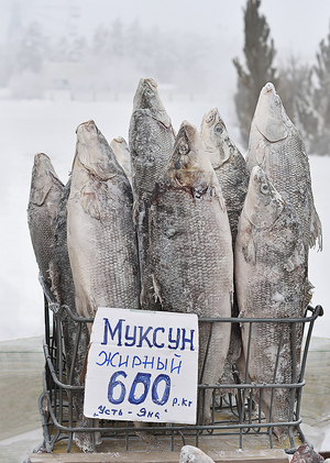 Рыбное место