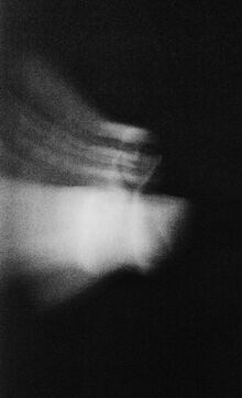 земля / the ground