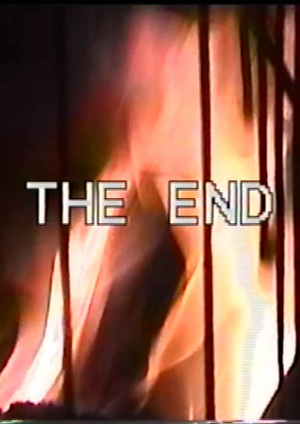 THE END