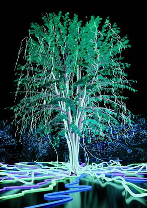 Игра разума