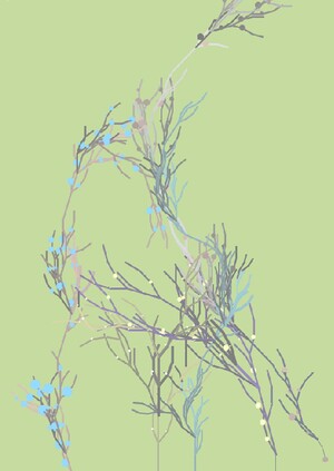 La Forêt