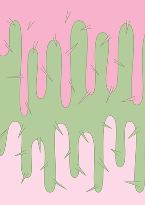 Кондитерская кактусов