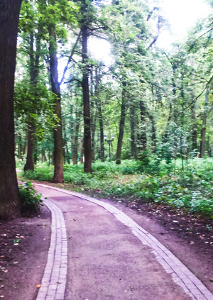 A two-part play "Forest Walk"