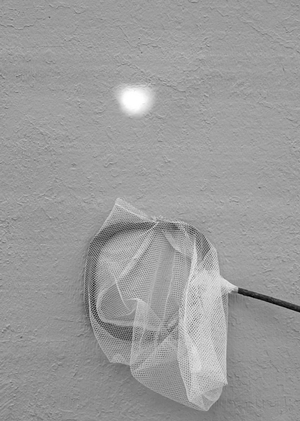 Видеоарт. Серия «Осмысленность»