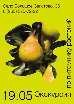 Ребрендинг питомника растений «Мечта»