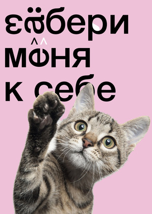 ребрендинг приюта «гав» для бездомных животных