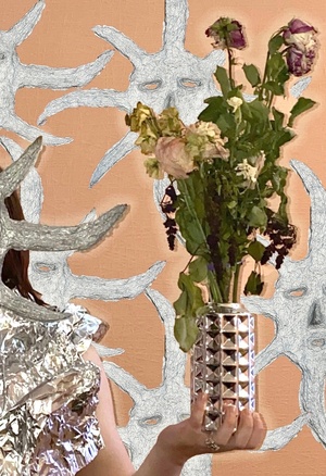 Парейдолия 